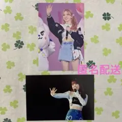 NiziU ミイヒ LiveDVD 封入フォトカード 2枚セット