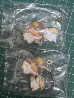 サンリオ　なかよしドロップチャーム　リトルツインスターズ　キキララ ミニブック付