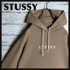 STUSSY◎センターロゴ 短丈 アースカラー パーカー D287