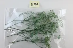 ろん♪めぐ様 リクエスト 3点 まとめ商品