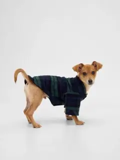 2026年最新】Gap サイズ：XS 犬服の人気アイテム - メルカリ