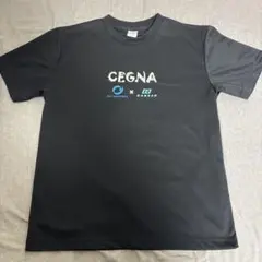 【即日配送】 卓球 限定品 ダーカー セグナtシャツ 練習着