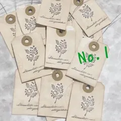 Item thumbnail for item bd9e7cff-d0f0-471e-9e3f-9c7efeff42c7