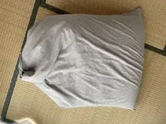 ビーズクッション カバーが洗える レギュラー 可愛い 45cm 70cmのサムネイル