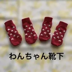 犬用靴下 レッド スター柄 4個セットのサムネイル