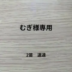 2026年最新】おらいさん苗の人気アイテム - メルカリ
