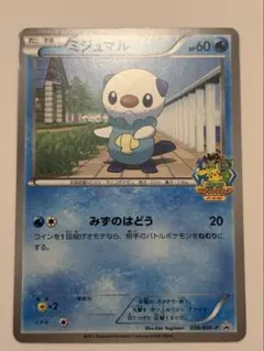 2026年最新】ポケモンカード ミジュマル BW-P ジャンボカード ポケモン