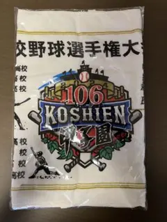 2025年最新】甲子園100回記念大会の人気アイテム - メルカリ