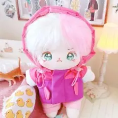 受付停止中】韓国ぬいぐるみ オーダー 推しぬい 15 or 20cm - メルカリ