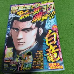 Item thumbnail for item 56a411fc-491e-4788-bc99-b02b895cc71b