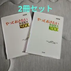 やっておきたい英語長文500&300 2冊セット