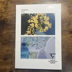 SEVENTEEN Carat Magazine Vol.12
