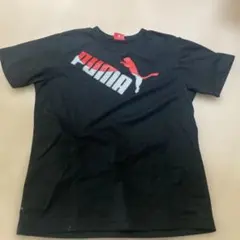 PUMA 黒 Tシャツ 140