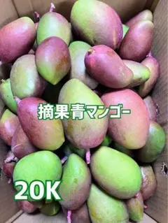 摘果青マンゴー（40g〜200g）25K 摘果青マンゴー（40g〜200g）25K - メルカリ
