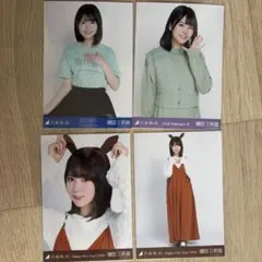 ひめたんの隠しミートボール様 リクエスト 2点 まとめ商品