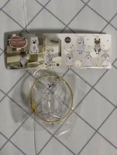 ワンコのタイムカプセル　モカちゃん