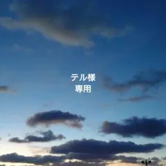 テル様専用です