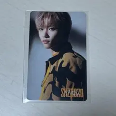 2026年最新】SKZOO トレカ フィリックスの人気アイテム - メルカリ