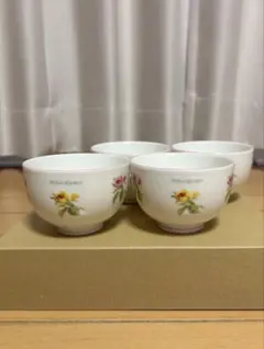 Item thumbnail for item fc780a02-d259-4f18-8a38-848210639adc