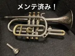 Item thumbnail for item 1c873973-e9c5-4495-8204-8877d538dcbf