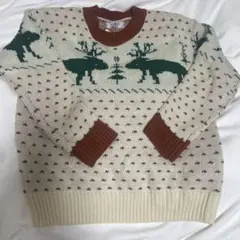 ノルディックニット zara h&m nugu sollon ニコアンド　ザラ