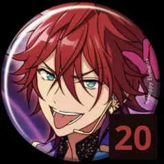 あんスタ 天城燐音 缶バッジ 24個セット 天城燐音 コレクション缶バッジ casual 24点 天城燐音