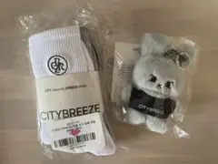 2026年最新】CITYBREEZE ドヨンの人気アイテム - メルカリ