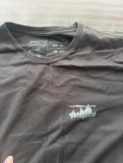 Patagonia パタゴニア Tシャツ ブラック XL