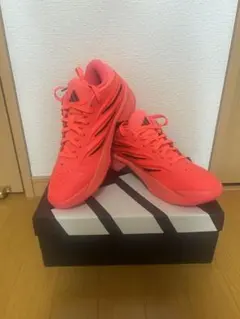 CRAZY ENERGY JAPAN 27.5cmのサムネイル