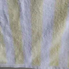 Item thumbnail for item 318e56b7-e0cf-4b8c-93d2-2ed3ee86711c