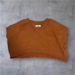 Vネック フリル袖 ニットベスト