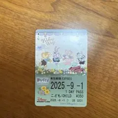 2025年最新】ディズニーリゾートラインフリー切符の人気アイテム