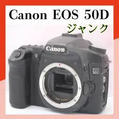 Item thumbnail for item 3657d915-64b5-40ba-be90-5d21f2d0e1eb