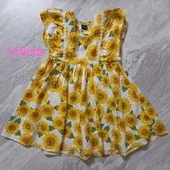 Item thumbnail for item 60dd3008-6258-4753-b6f7-6a7bac59b6f6