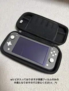 Nintendo Switch Lite グレー 本体 ケース付き