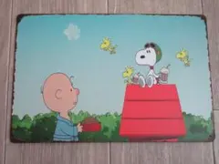 らいらい様 リクエスト 2点 まとめ商品