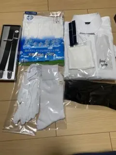 Item thumbnail for item 6d154927-832a-4da8-b56b-67b1c90cf24b