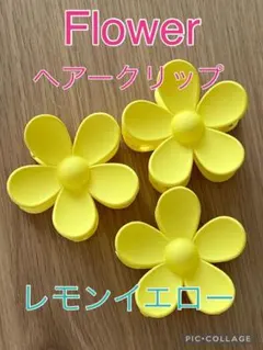 Item thumbnail for item 1687d306-ad72-4050-baf2-a25b761241cc