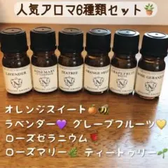 100%天然精油　アロマオイル　精油　ラベンダー　セット　アロマのサムネイル