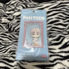SEVENTEEN PetiTEEN クリアキーチェーン エスクプス