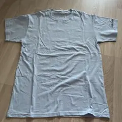 Item thumbnail for item 723b9329-3673-4d37-b4e0-c0246bb1831b