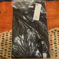 Item thumbnail for item 205270f3-c768-4daa-887b-188c4b1f9008