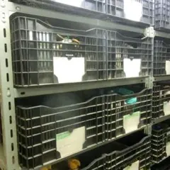 Item thumbnail for item 799c1729-6eb7-439c-985e-6fe4623a998b