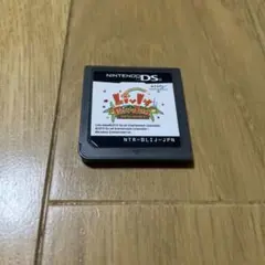 ds ソフト　リヴリーガーデン　動作確認済み　ソフトのみ