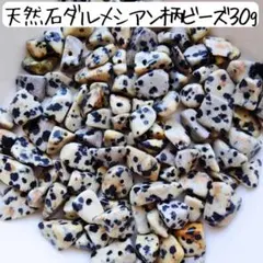 多肉ネックレス（アーモンド ドルフィン ルビー 3種類）ミセバヤ