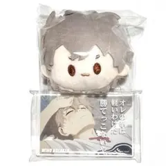 ウィンブレ ダイソー フェイスぬいぐるみ アクブロ 兎耳山