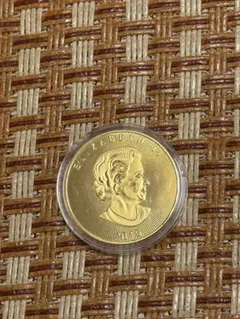 カナダ メイプルリーフ金貨 (メッキ)40mm - メルカリ