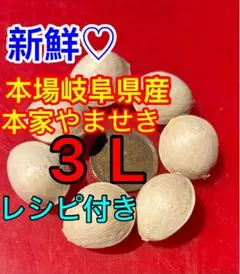 mーa様用 月山筍2箱分 蕨3キロセット 2026年 無農薬野菜 山菜 - メルカリ