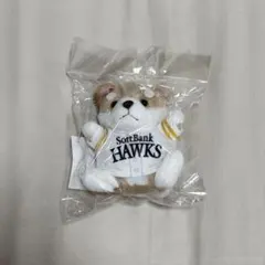 福岡ソフトバンクホークス 柴犬キーチェーン ぬいぐるみ 宮崎キャンプ