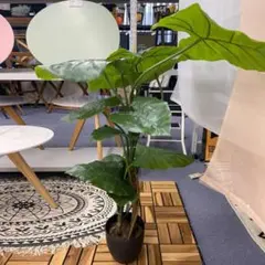 鉢カバー付き】IKEA フェイクグリーン フェイカ人工観葉植物